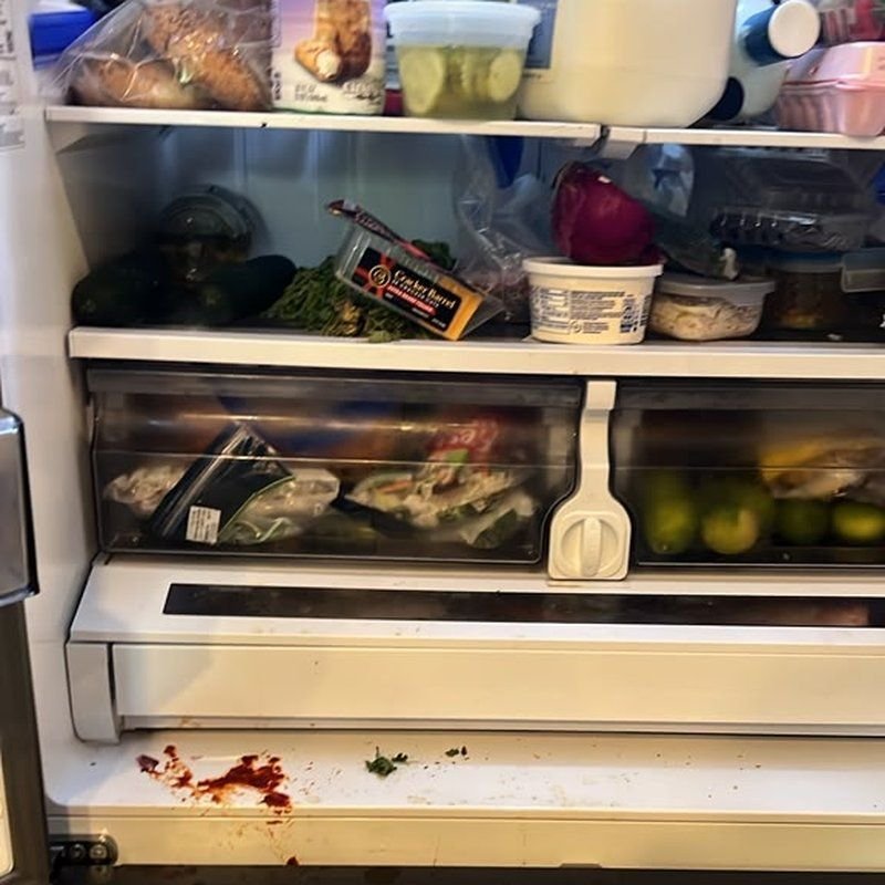 Refrigerator clean-out, before cleaning